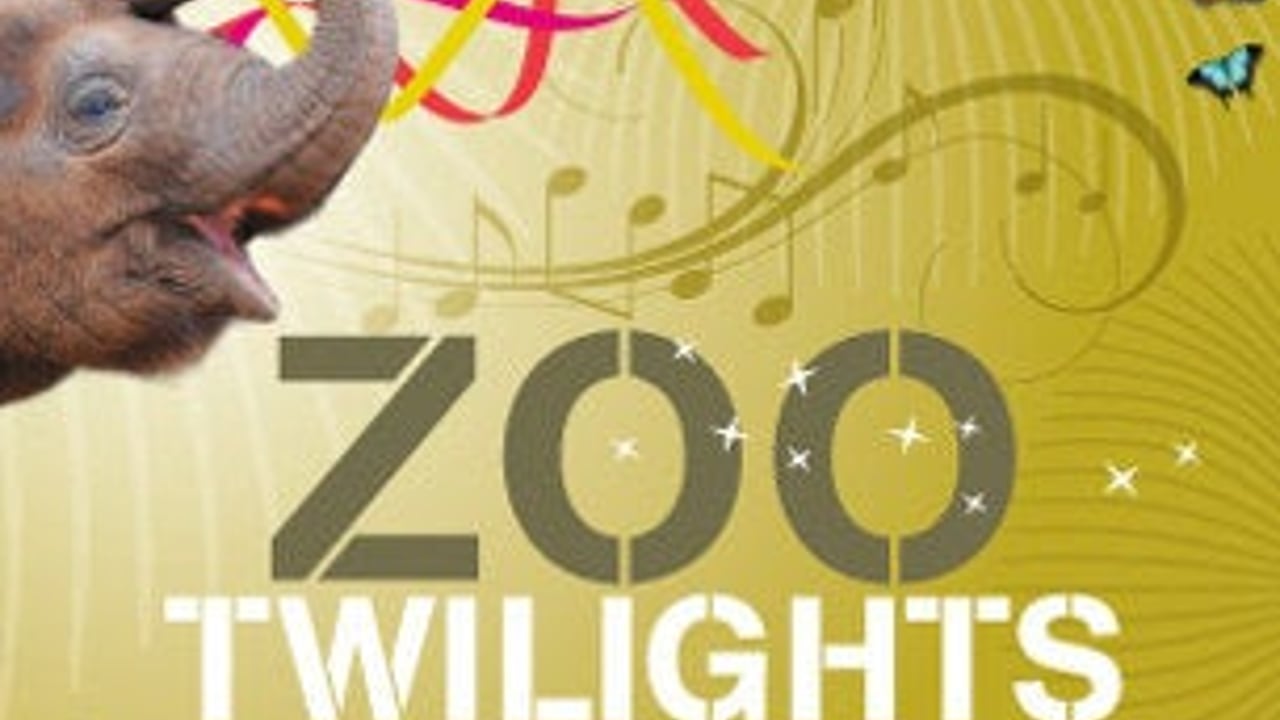 Zoo Twilights