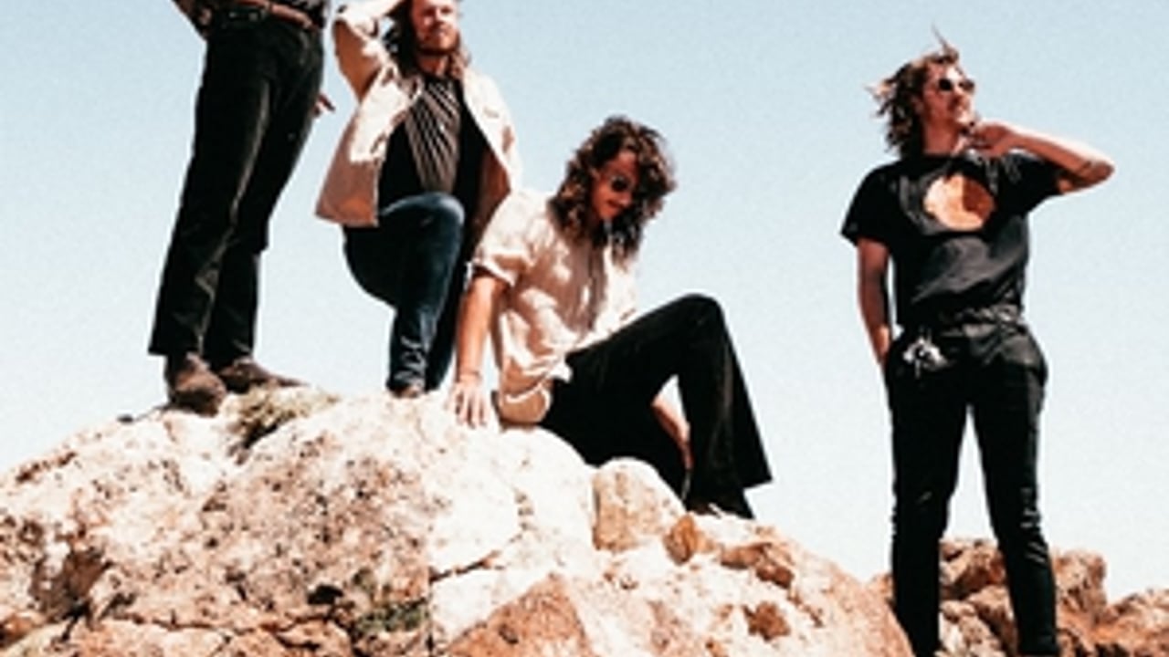 The VANNS