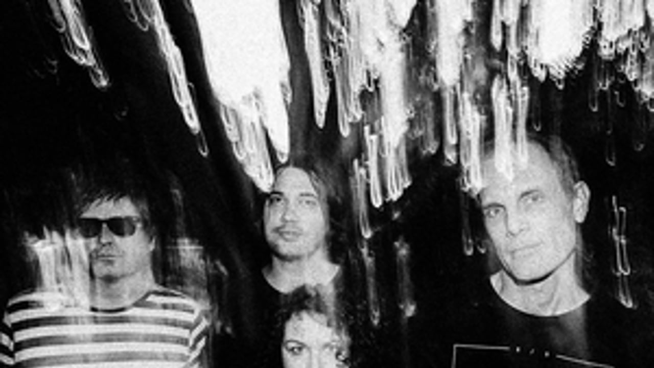 Screamfeeder