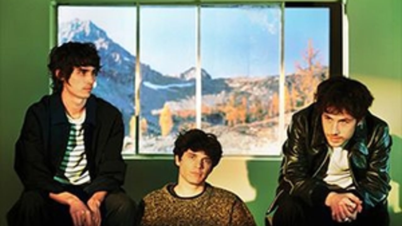 Wallows