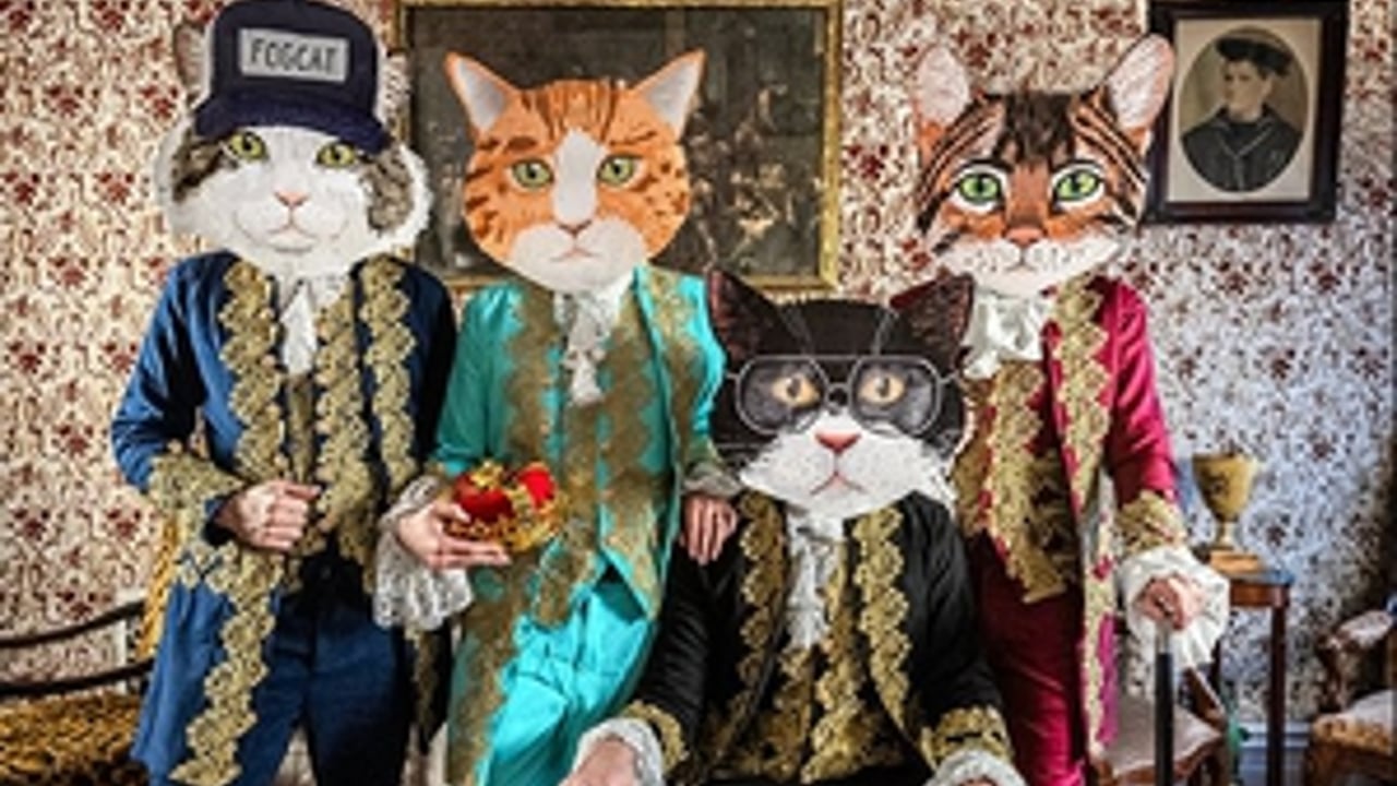 Fantastic Cat