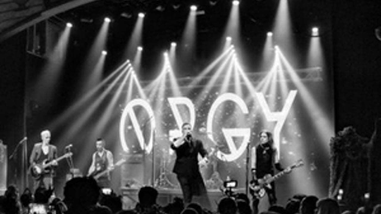 OrgyMusic