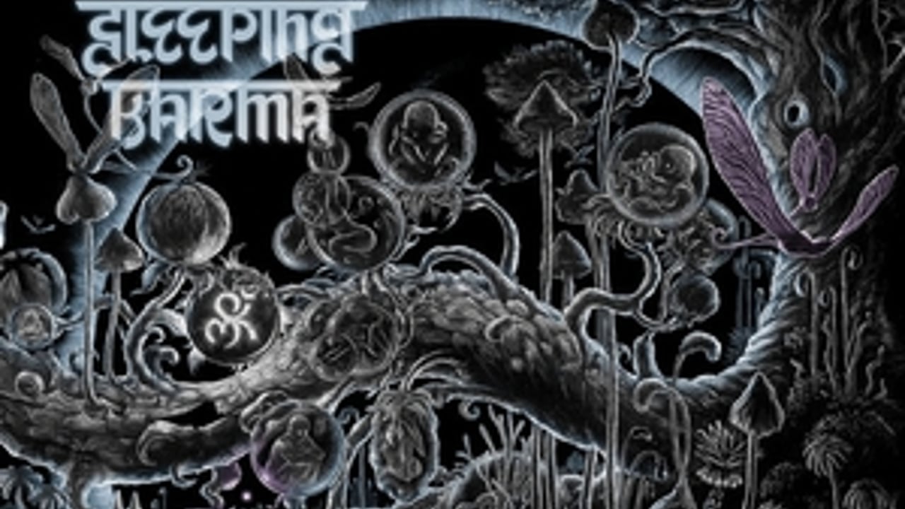 My Sleeping Karma