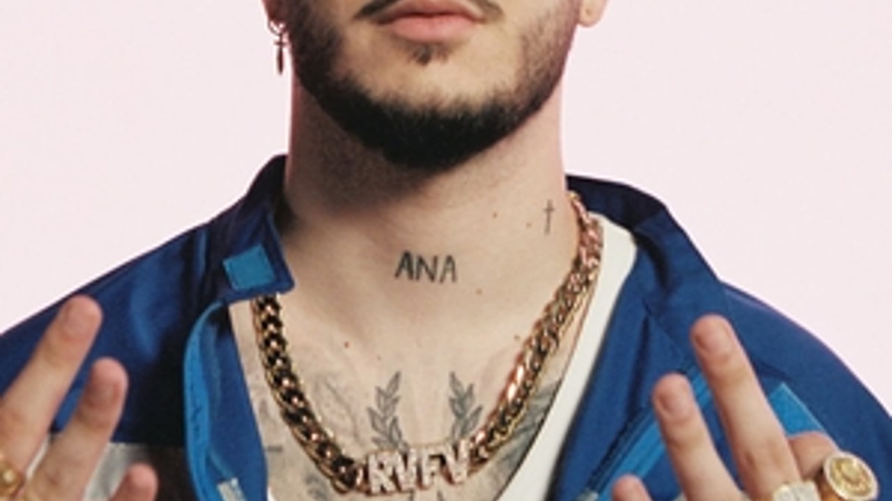 Rvfv