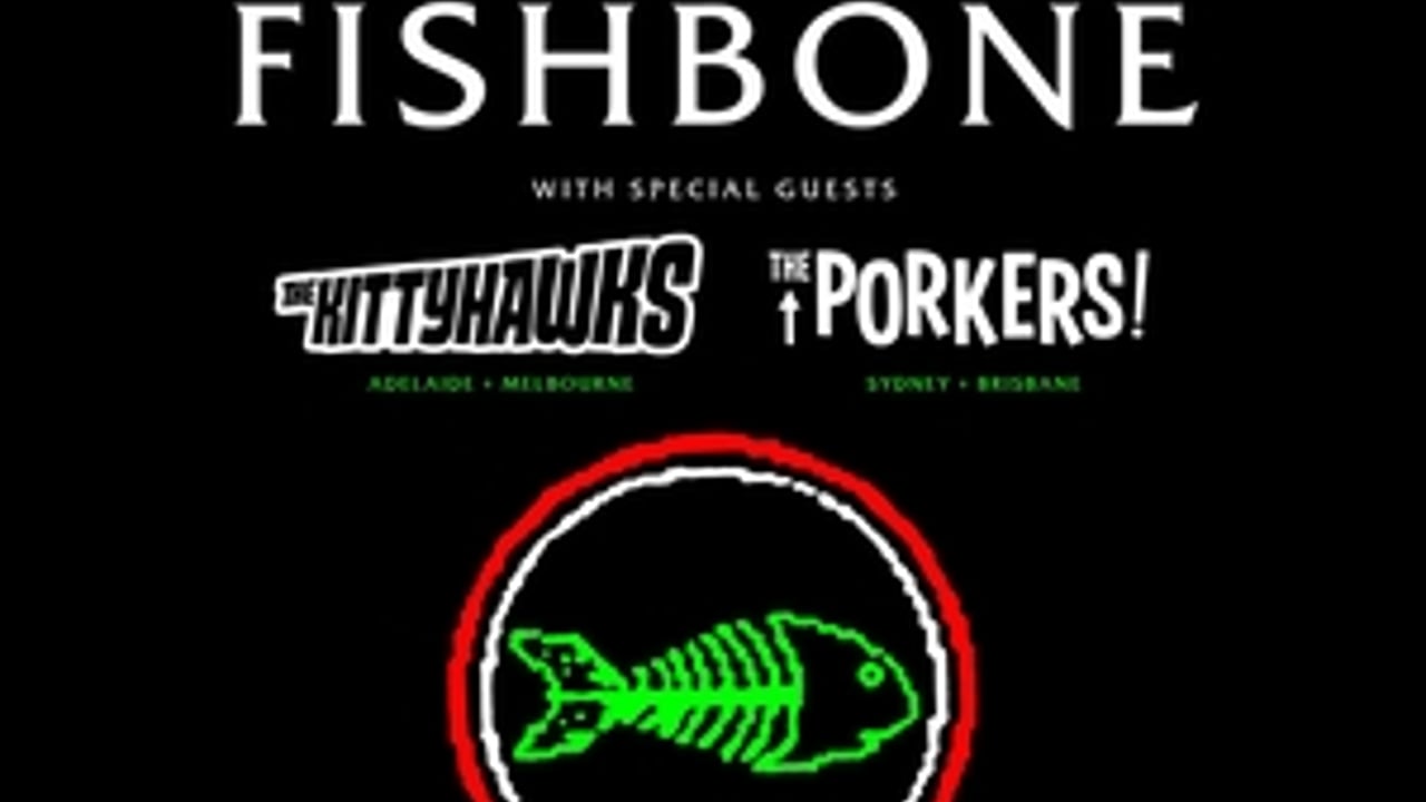 The Kittyhawks