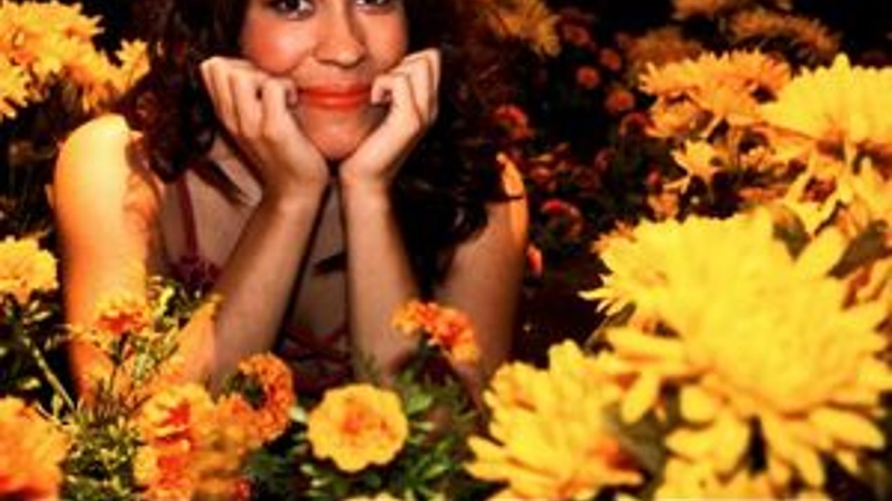 Dani Fernandez