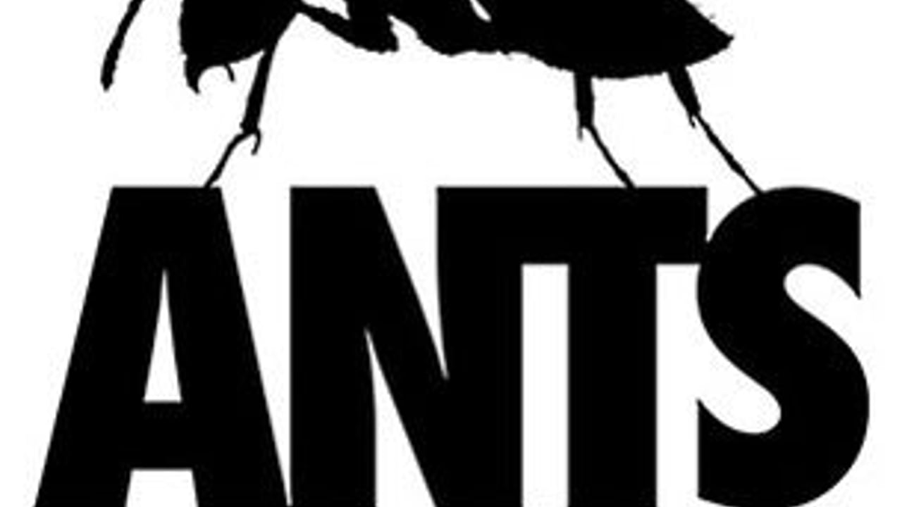 Ants