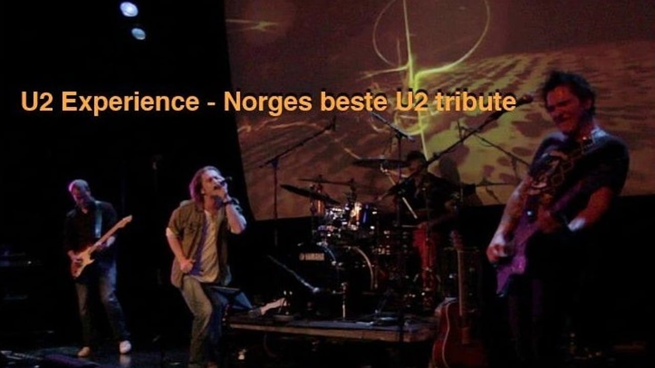 THE U2 EXPERIENCE