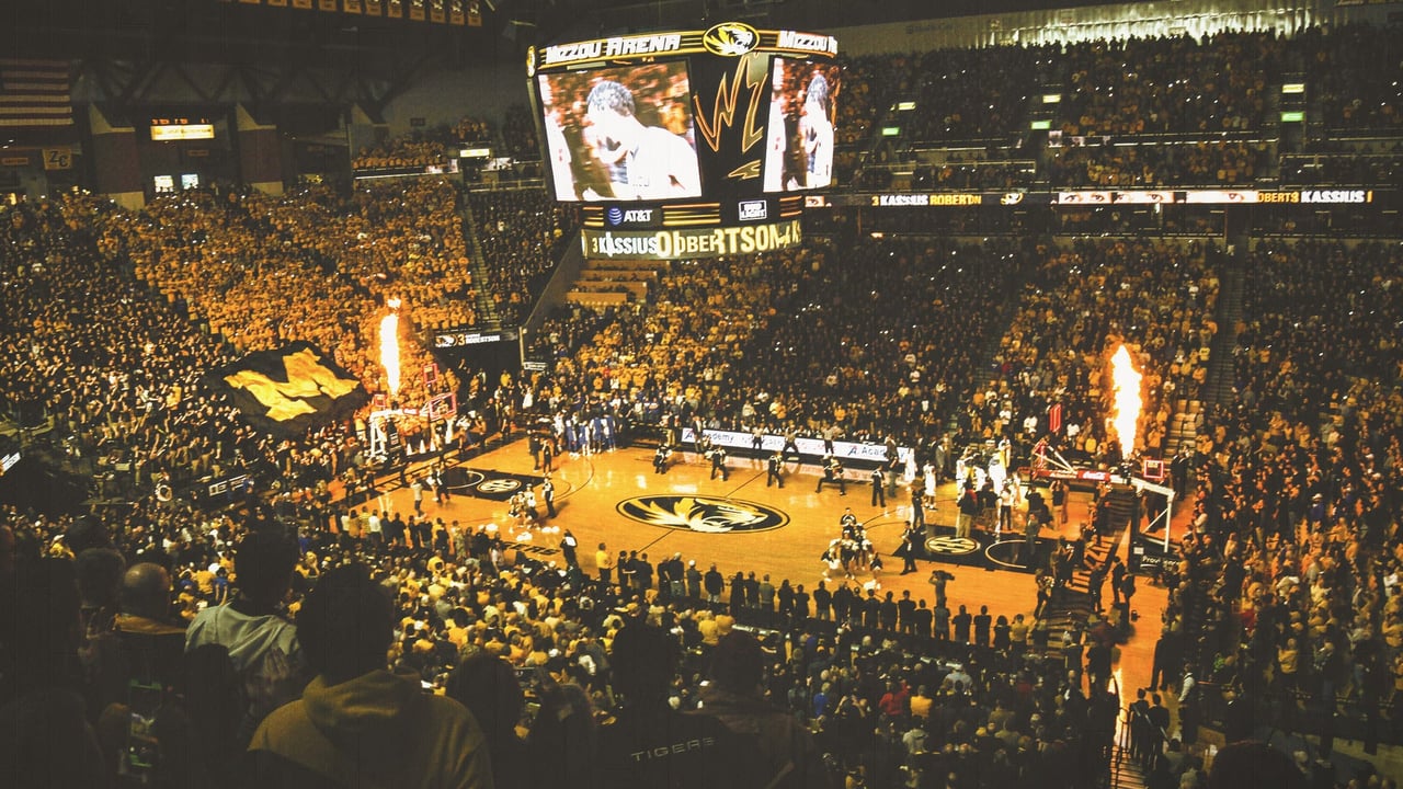 Mizzou Tigers Basketball