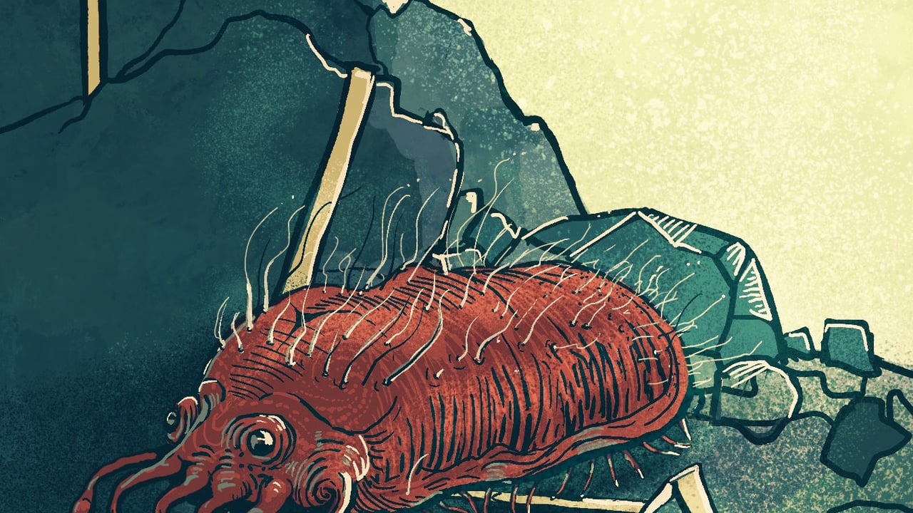 Complexity Fest 2026