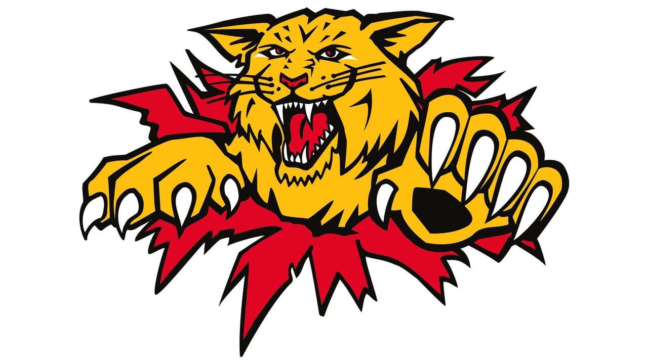 Wildcats De Moncton