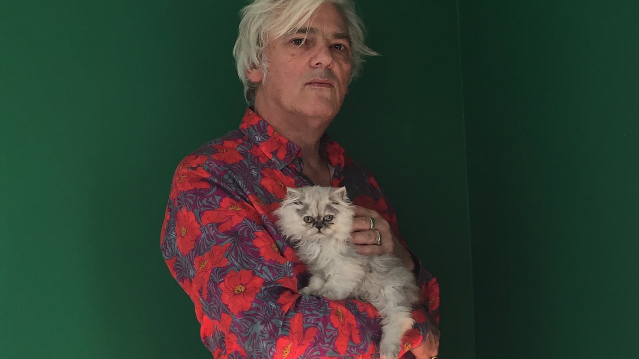 ROBYN HITCHCOCK
