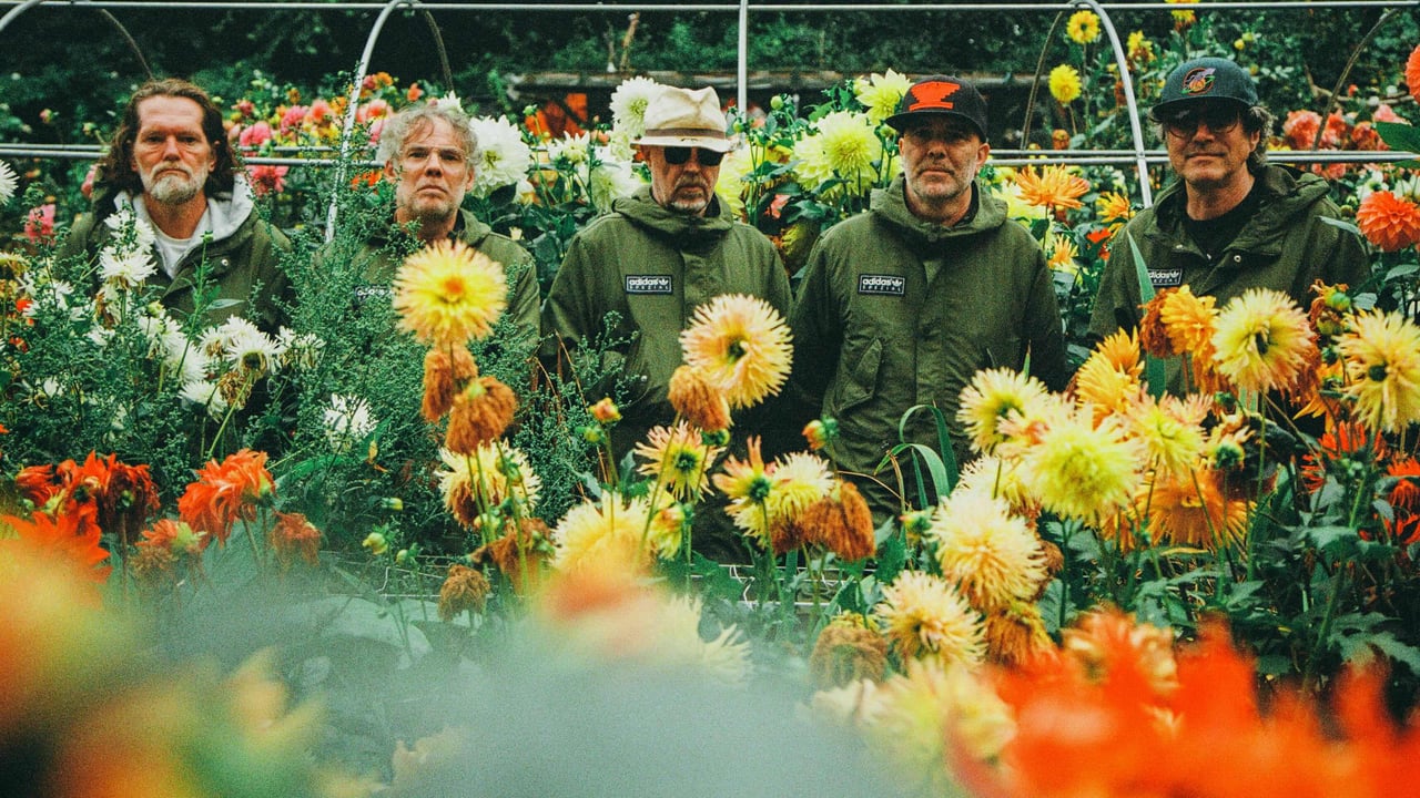 Super Furry Animals - Official Ticket and Hotel Bundls