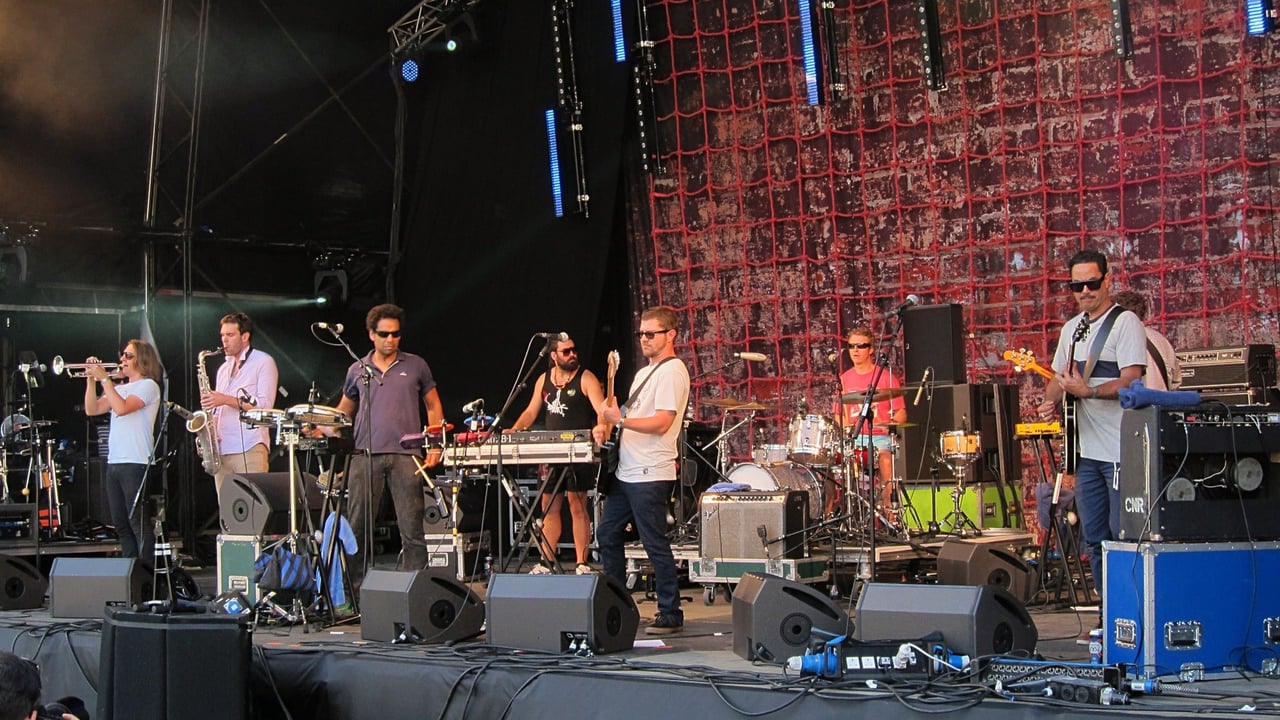 The Black Seeds