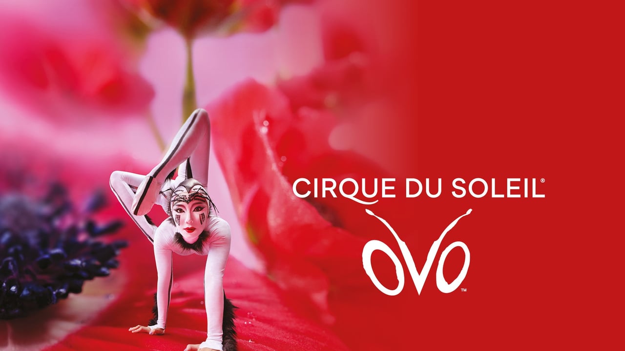 Cirque du Soleil OVO