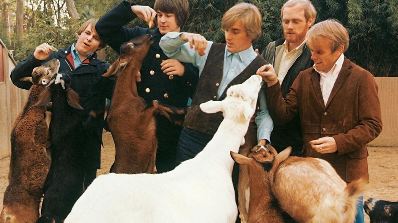 PET SOUNDS - Tribute To The Beach Boys