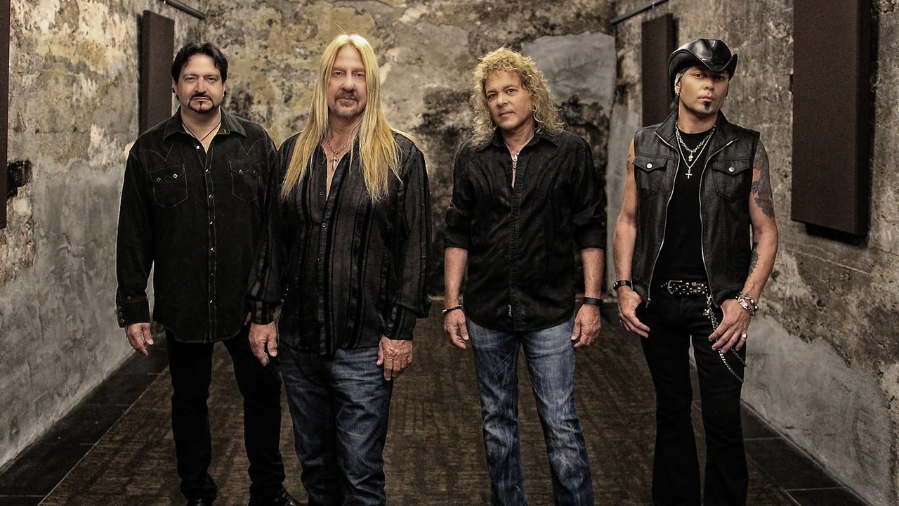 Y & T