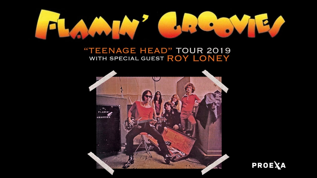 Flamin' Groovies