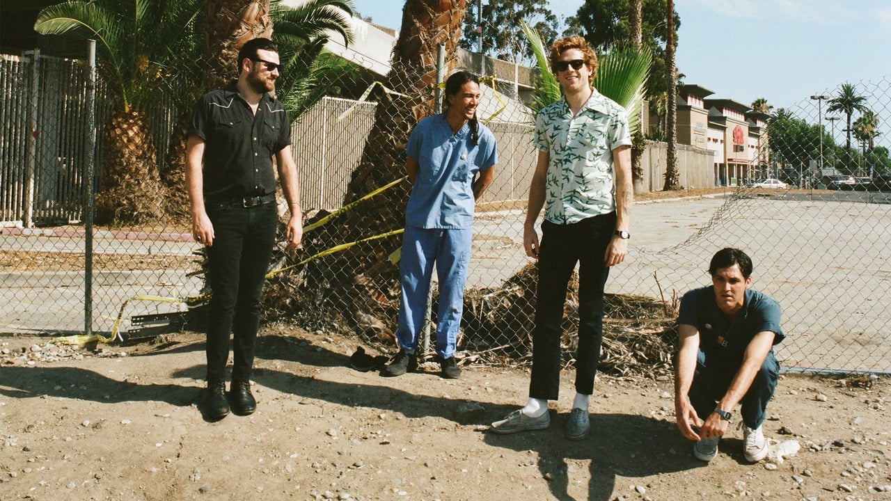 Fidlar