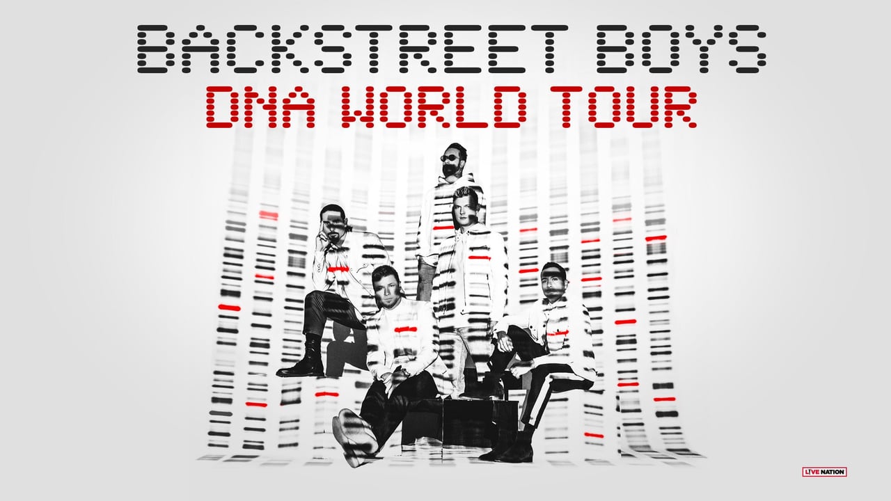Backstreet Boys:  DNA World Tour