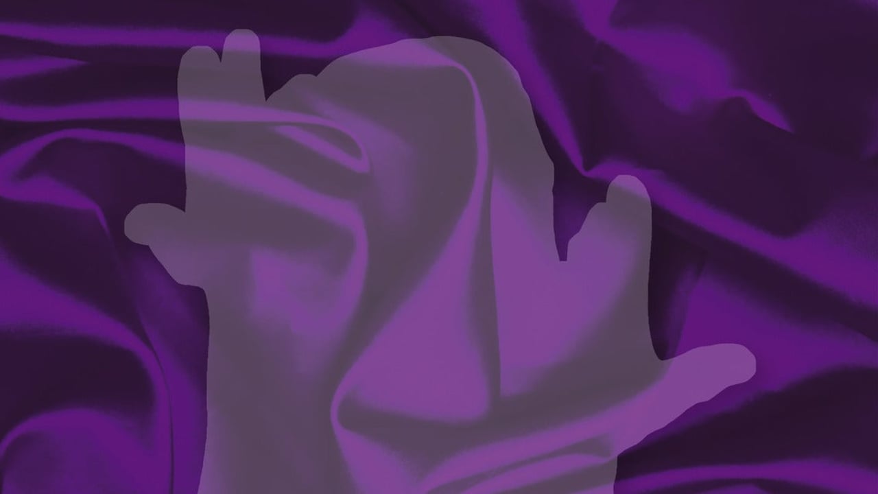 Prince Tribute Endorphinmachine