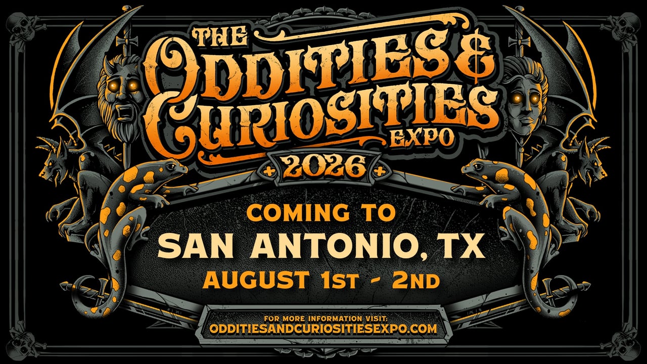 Oddities & Curiosities Expo:Ratalope Coffin Taxidermy 1:30 PM-3:30 PM