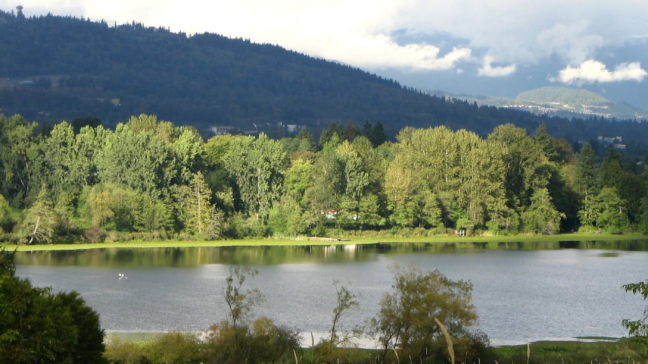 Deer Lake Park