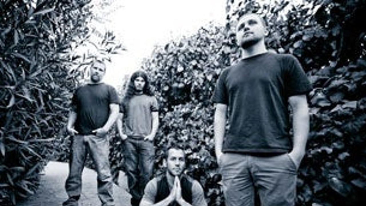 Cynic