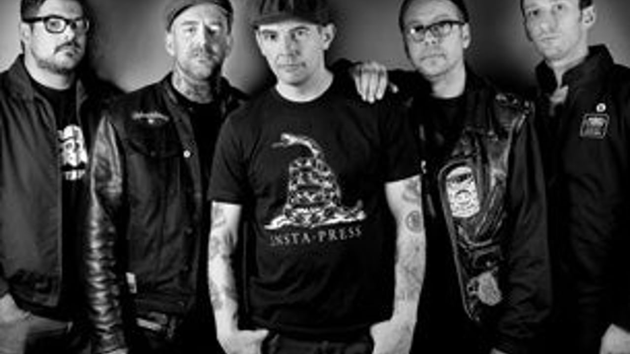 Street Dogs
