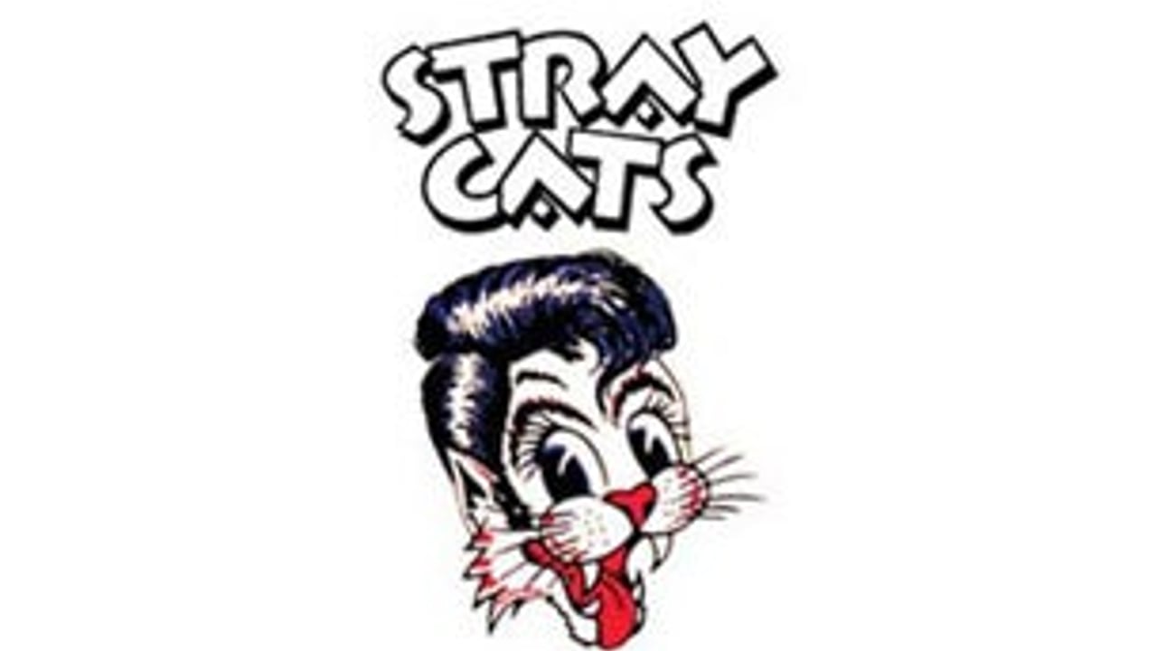 Stray Cats
