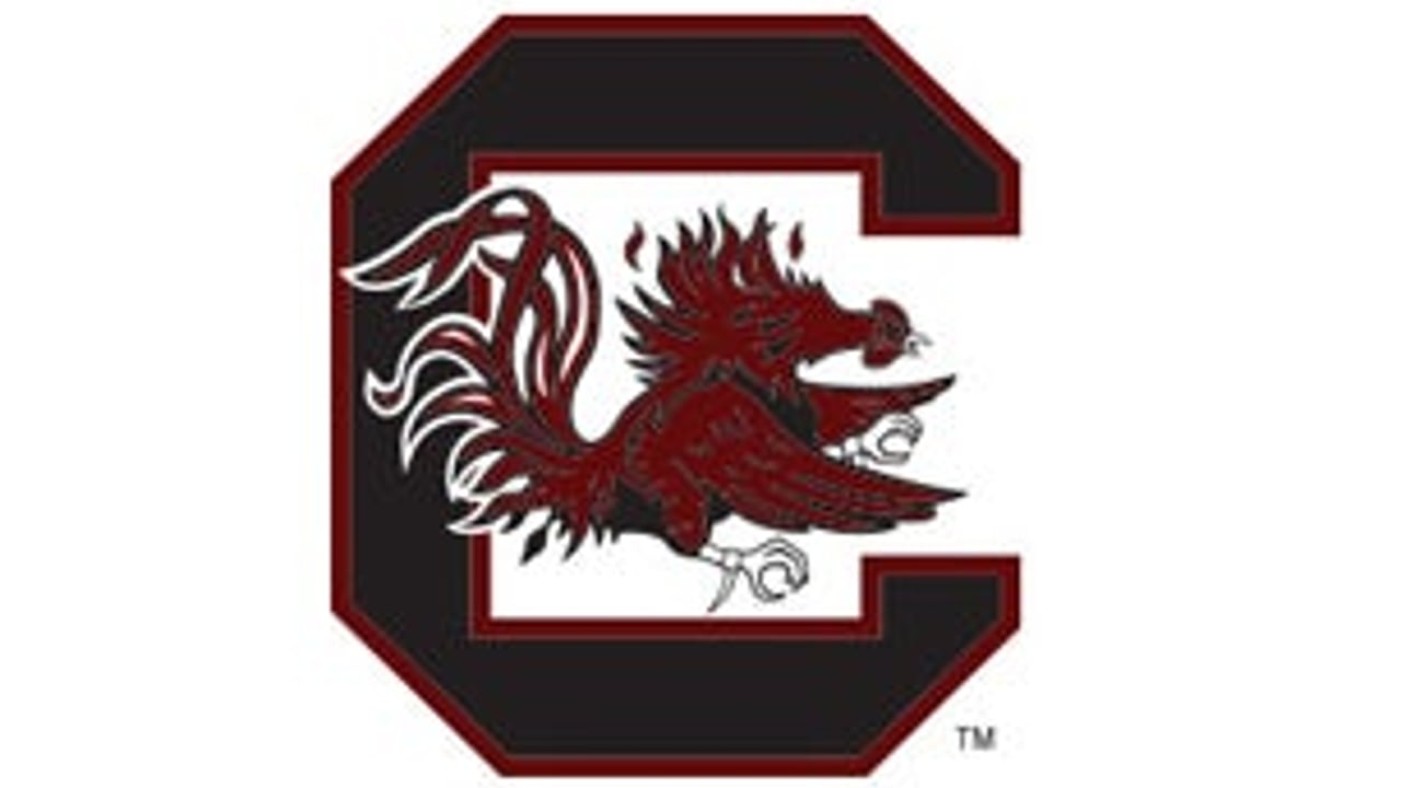University of South Carolina Gamecocks Womens Volleyball