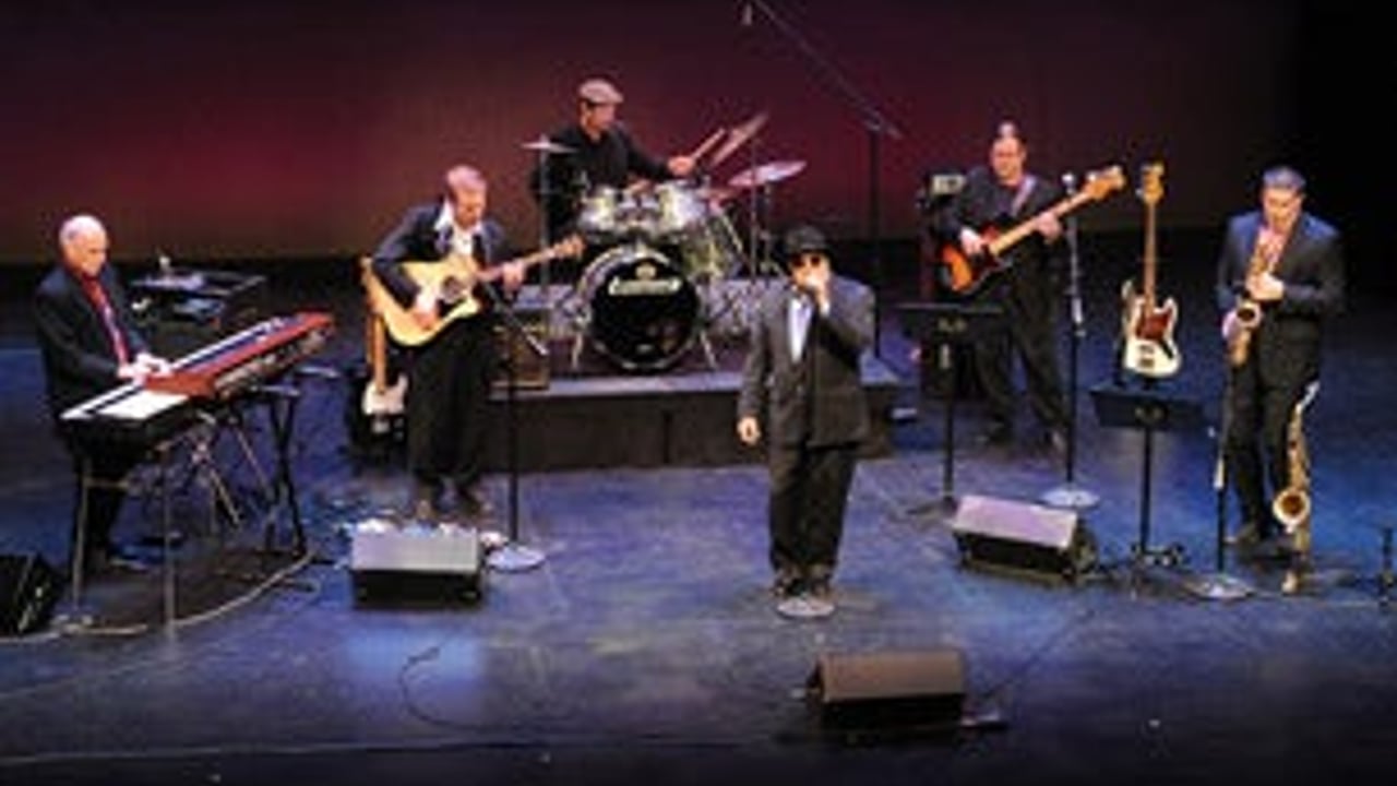 Moondance: the Ultimate Van Morrison Tribute Concert