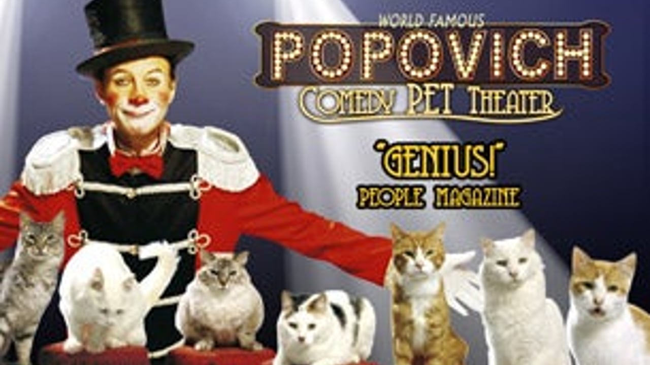 Popovich Comedy Pet Theater