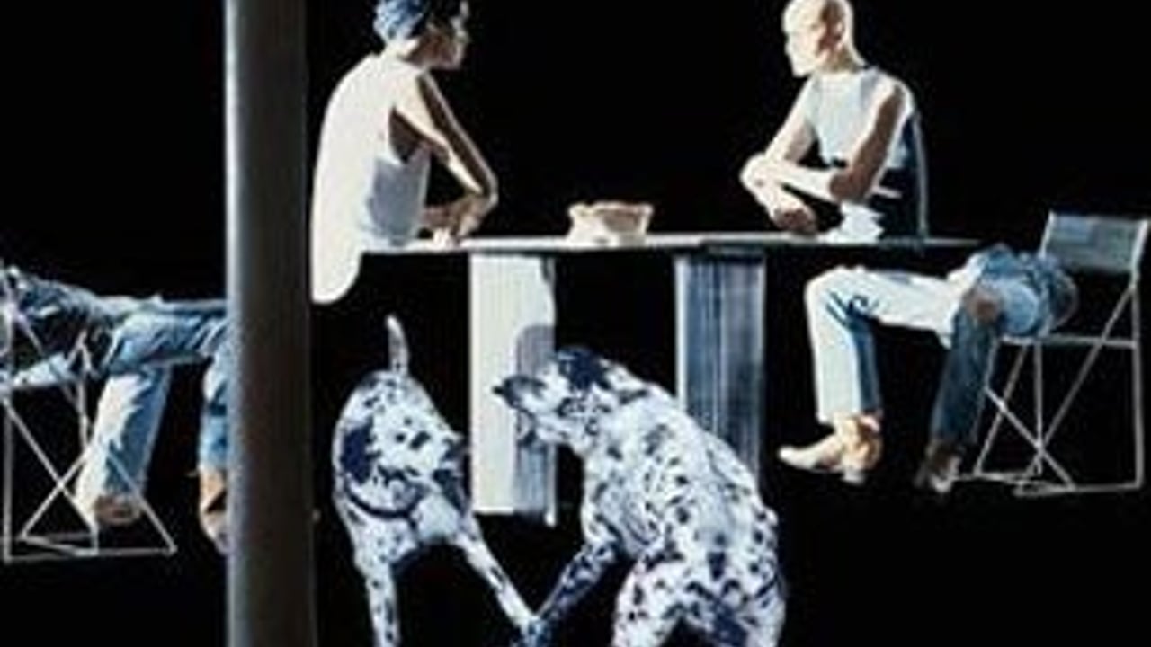 Yazoo
