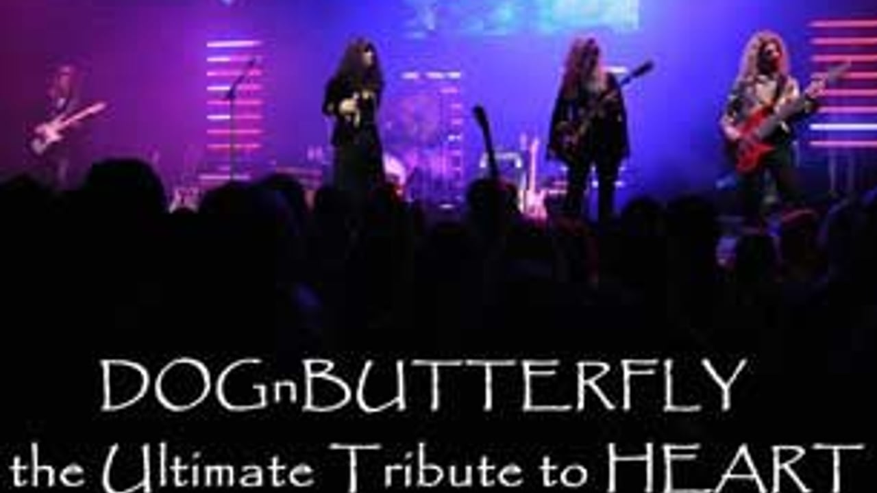Dog N Butterfly