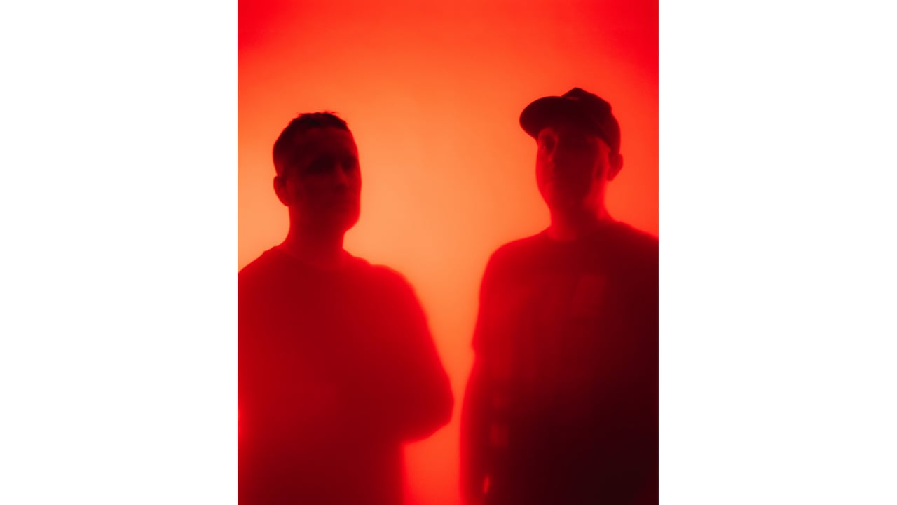 Hybrid Minds