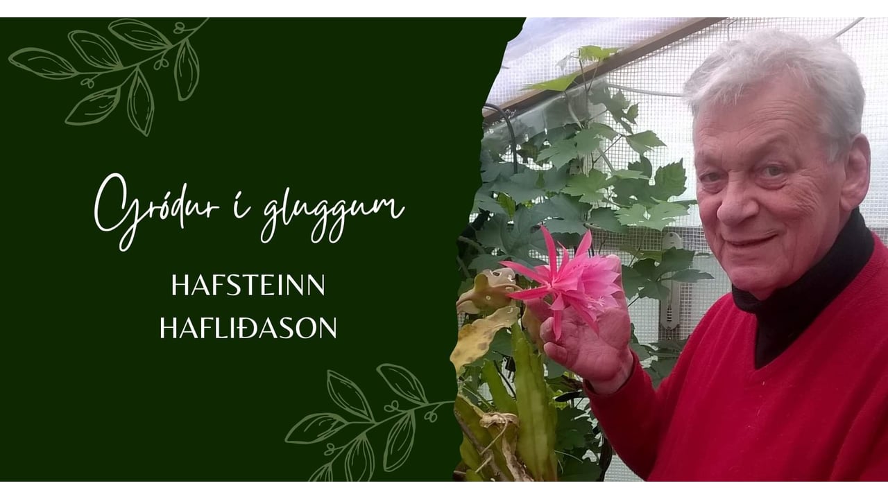 Bókasafn Suðurnesjabæjar