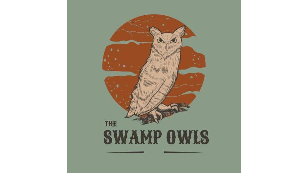 The Swamp Owls