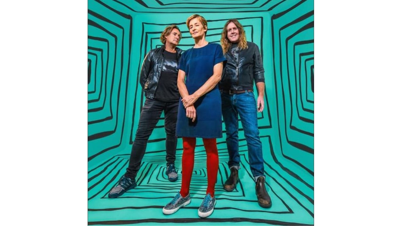 Spiderbait