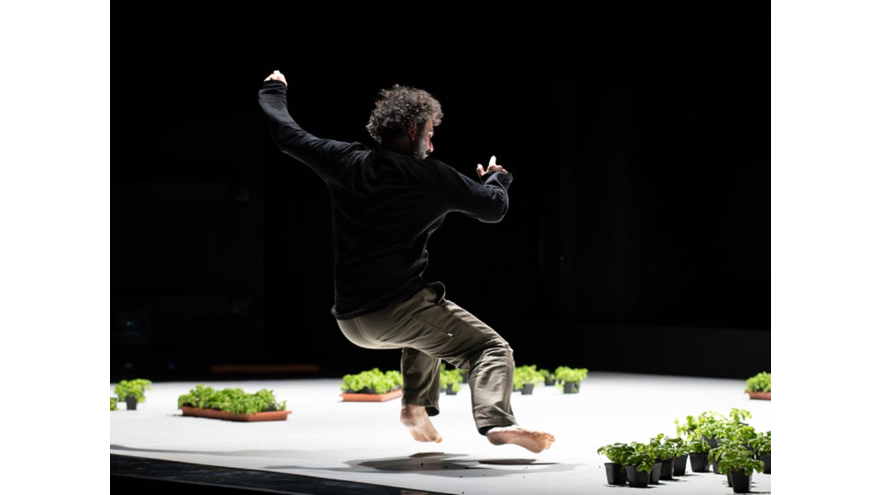 Dance is not for Us - Omar Rajeh - Sýnt á RDF