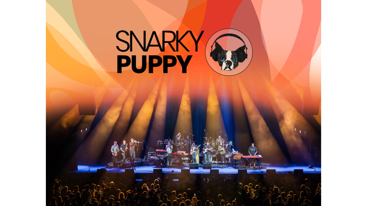 Snarky Puppy
