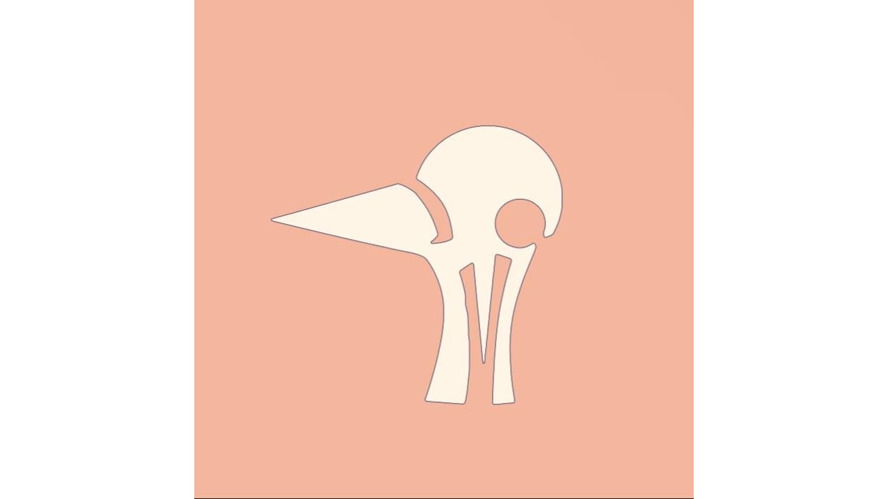 Futurebirds