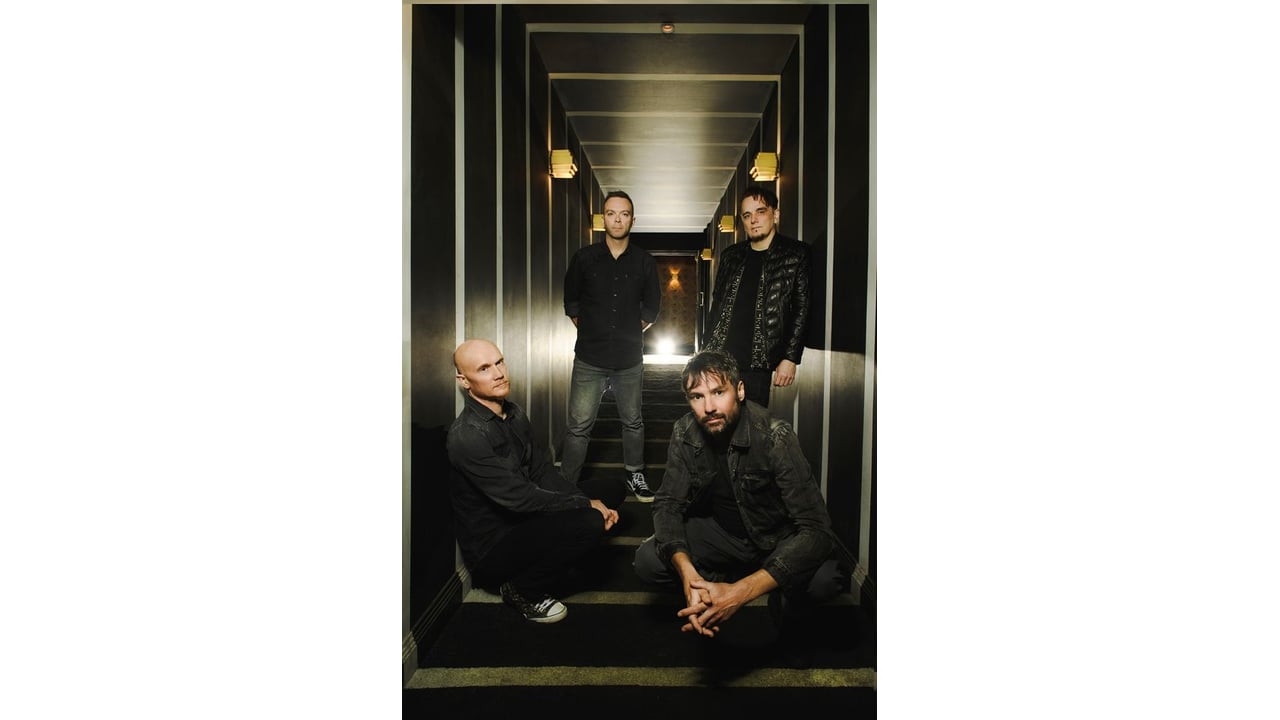 The Pineapple Thief