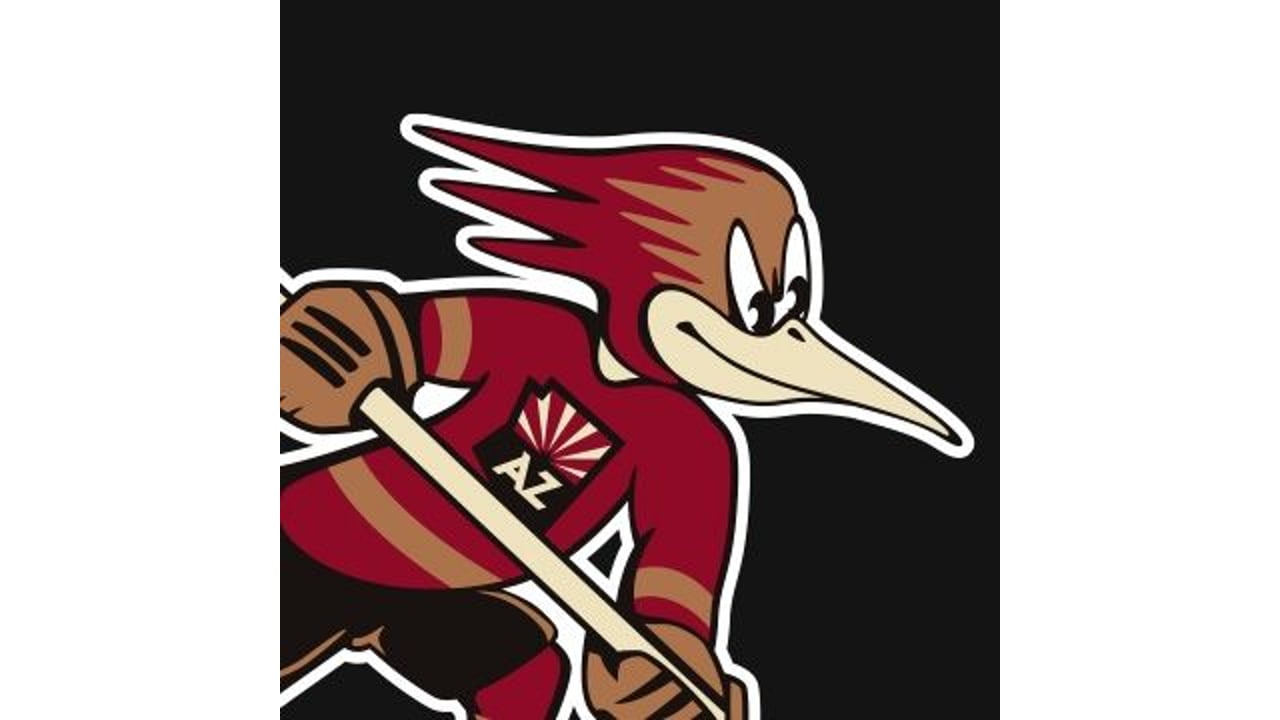 Tucson Roadrunners