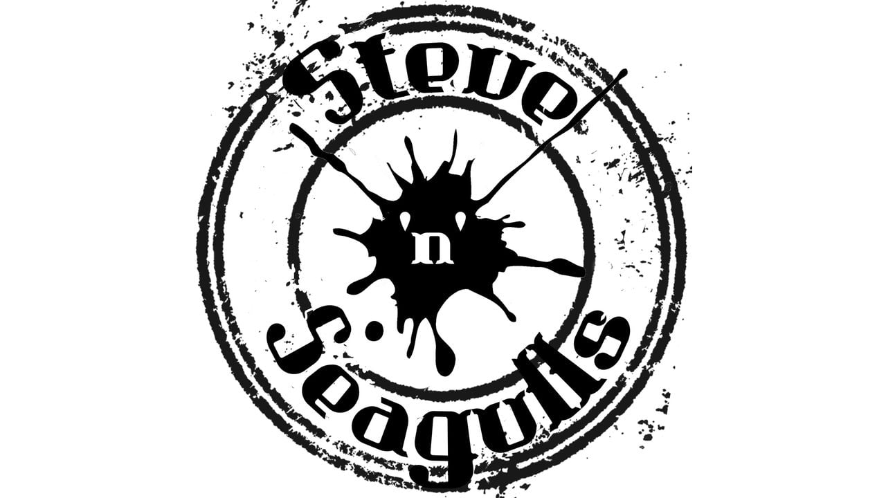 Steve'n'Seagulls