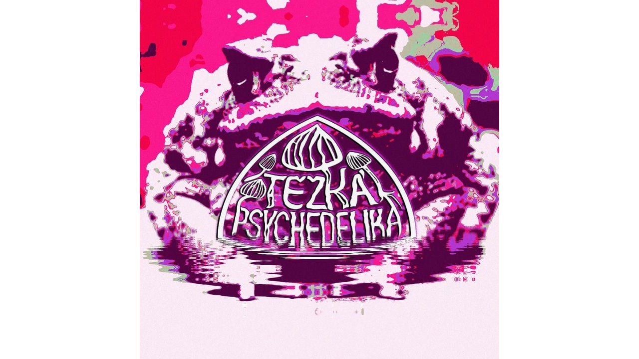 Těžká psychedelika