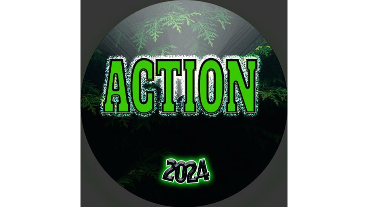 Action zenekar