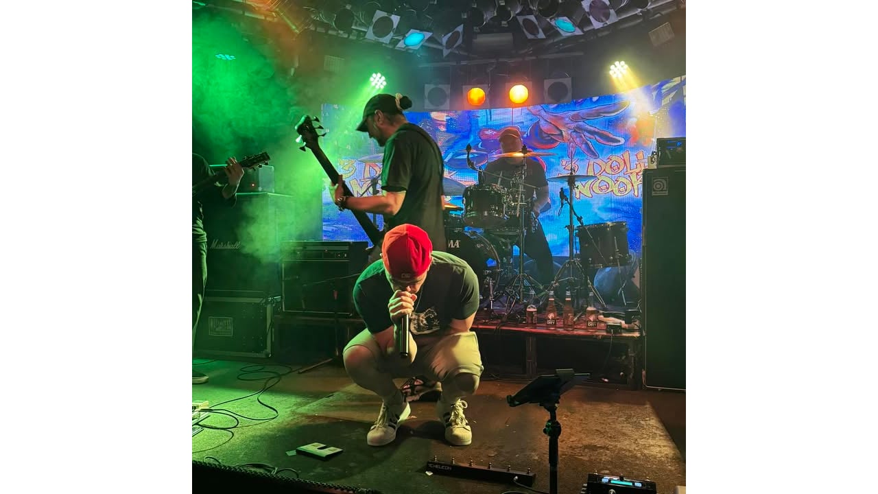 3dollarnookie - Limp Bizkit Tribute