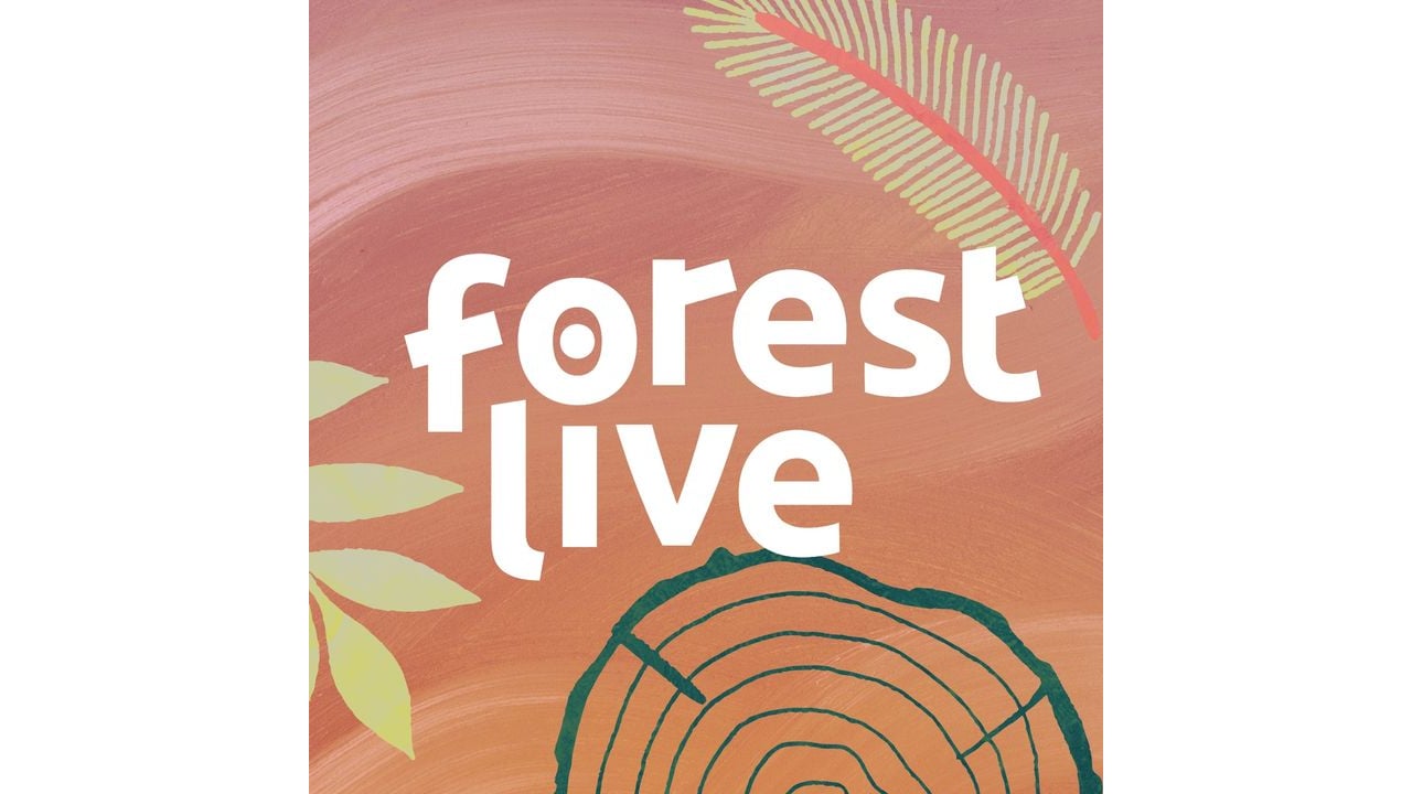 Forest Live - Forestry England