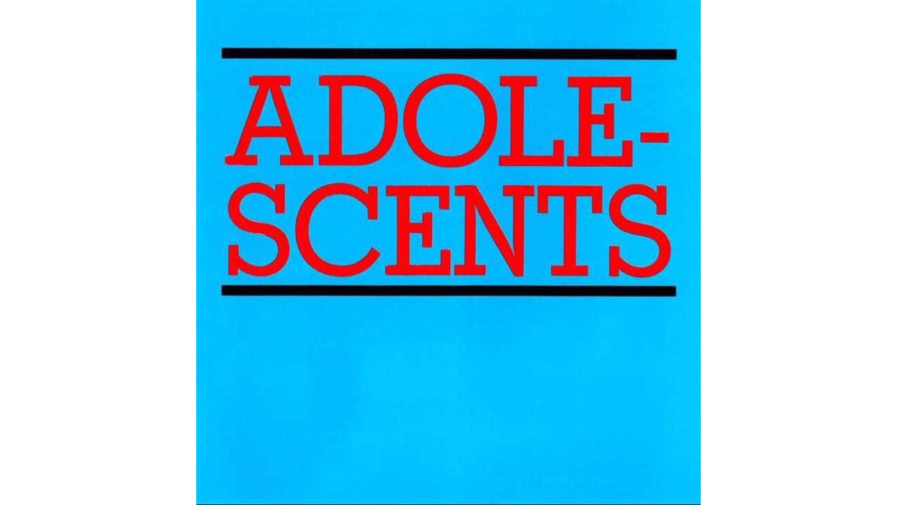 The Adolescents